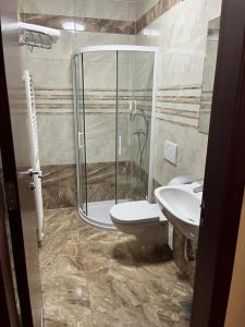 a bathroom with a shower and a toilet and a sink at Prenočišča Zvezda Ljutomer in Ljutomer