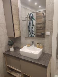 a bathroom with a sink and a mirror at Privat Studio Milmari in Kopaonik