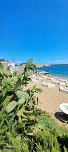 una spiaggia con un mucchio di ombrelloni e l'oceano di Studio Bandiera apartment a Palermo Altre 18 foto