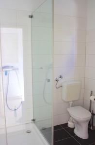 a bathroom with a toilet and a glass shower at Villa Sunny Side in Ždrelac