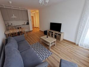 Una sala de estar con un sofá azul y un televisor. en Apartamenty Adler - Classic, en Szczecin