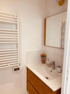 a bathroom with a sink and a mirror at Le Nid des Charmettes in Saint-Josse