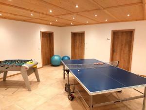 Stolní tenis v ubytování Rinser See-Hof nebo okolí