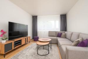 een woonkamer met een bank en een tv bij Mainiidu Apartment in Pärnu