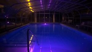 Bazén v ubytování Hotel Terme Belvedere nebo v jeho okolí