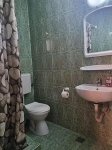 une salle de bain avec toilettes et lavabo dans l'établissement Casa Natalia, à Eforie Nord