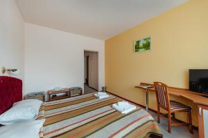 TV a/nebo společenská místnost v ubytování Hotel Rusca