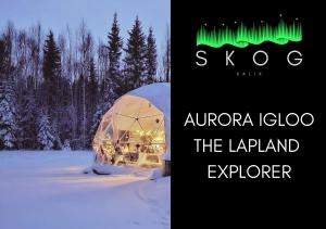 SKOG Aurora igloos talvel