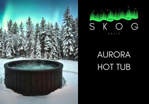 SKOG Aurora igloos talvel
