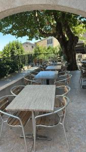 a row of tables and chairs under a tree at Gîte U Saltu in Solaro