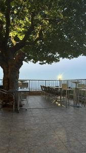 a group of tables and chairs under a tree at Gîte U Saltu in Solaro