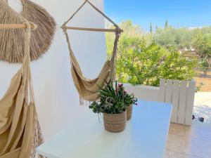a hammock hanging on a wall with a plant at Lemon Tree House, Golden Beach in Chrissi Akti