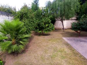 ein Garten mit Büschen und Bäumen und einer Mauer in der Unterkunft Urquiza - Habitación para turistas in Cordoba