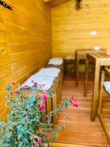 a room with two beds and a potted plant at Stara Žaga in Bled +51 photos