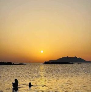 Gallery image of Diar Aquilaria Dar nouha in El Haouaria +27 photos
