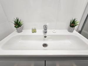 a white sink with two plants on top of it at Radu's Room in Curtea de Argeş +29 photos