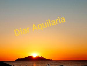 Gallery image of Diar Aquilaria Dar nouha in El Haouaria