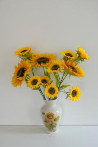 Gallery image of Residencial Princesa do Ave in Vila do Conde