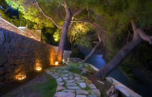 Ein Garten an der Unterkunft Stunning Brac Villa 5 Bedrooms Villa Selca Brac 5 Metres To The Beach Private Swimming Pool Selca