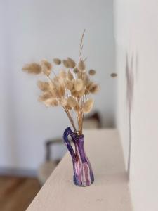 a purple vase with some dried flowers in it at Himara Hostel in Himare