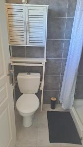 ein Bad mit einem WC und einem blauen Duschvorhang in der Unterkunft Ground floor of villa in Brando