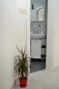 Kupatilo u objektu Apartments Parapid