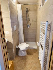a bathroom with a toilet and a shower at Casa Vittoria in Dervio +66 photos