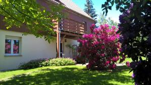 Zahrada ubytování Appartement In Schönfeld Mit Großem Garten
