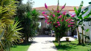 Zahrada ubytování Datca Doris Hotel