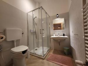 a bathroom with a shower and a toilet and a sink at La Sacristana BnB in Longobucco +60 photos