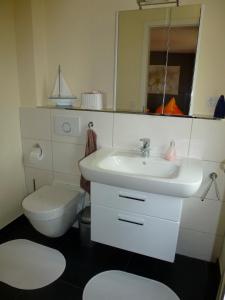 a bathroom with a sink and a toilet and a mirror at Wilsterberg FeWo "Kombi" in Ascheffel +27 photos