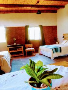 a bedroom with two beds and a potted plant at Cabaña AmaNacer in San Esteban