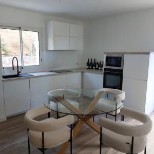 Kuchyň nebo kuchyňský kout v ubytování Appartement avec jardin BARTOLINETTA