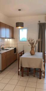 a kitchen with a table with a vase on it at ZOGRAFOS SPIROS Rooms in Pérdika +27 photos
