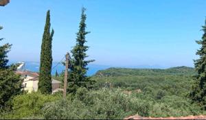 two tall trees on a hill with a house at ZOGRAFOS SPIROS Rooms in Pérdika