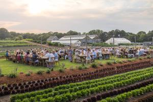 a crowd of people sitting at tables in a garden at Chatham Bars Inn in Chatham