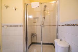 a bathroom with a shower and a toilet at Charming Rooftop Flat in City Center in Catania