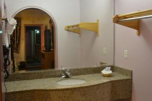 a bathroom with a sink and a mirror at The Flamingo Motel San Jose in San Jose