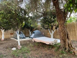 a group of tents sitting under trees next to a fence at Himara Hostel in Himare