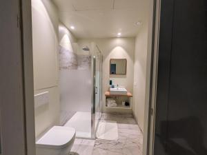 a bathroom with a shower and a toilet and a sink at Aparthotel Acacia in Eeklo
