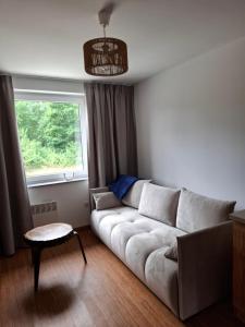 a living room with a couch and a window at Apartamenty Młyn in Męcikał