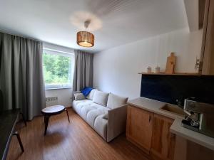 a living room with a couch and a table at Apartamenty Młyn in Męcikał