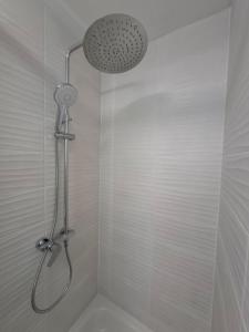 a shower with a shower head in a bathroom at Apartamenty Młyn in Męcikał +41 photos