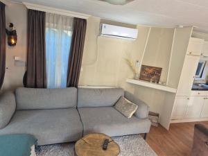 a living room with a couch and a table at Chalet op de veluwe in Putten