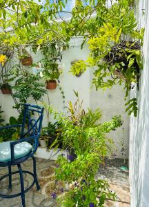 a blue chair sitting on a patio with plants at The Quetzal in Cancún