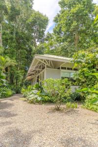a house in the middle of a forest at Beachfront Residencia Blanca in Puerto Viejo in Puerto Viejo