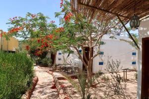 Fotografie z fotogalerie ubytování Nemo Dive Center AQABA JORDAN v destinaci Aqaba