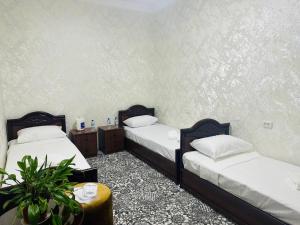 a room with two beds and a potted plant at Navruz Hostel in Samarkand