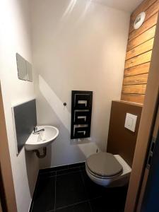 a bathroom with a toilet and a sink at le Gîte des 4 tours in Cattenom +8 photos