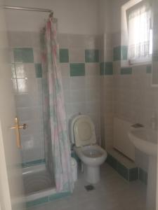 Koupelna v ubytování Apartman Ivan